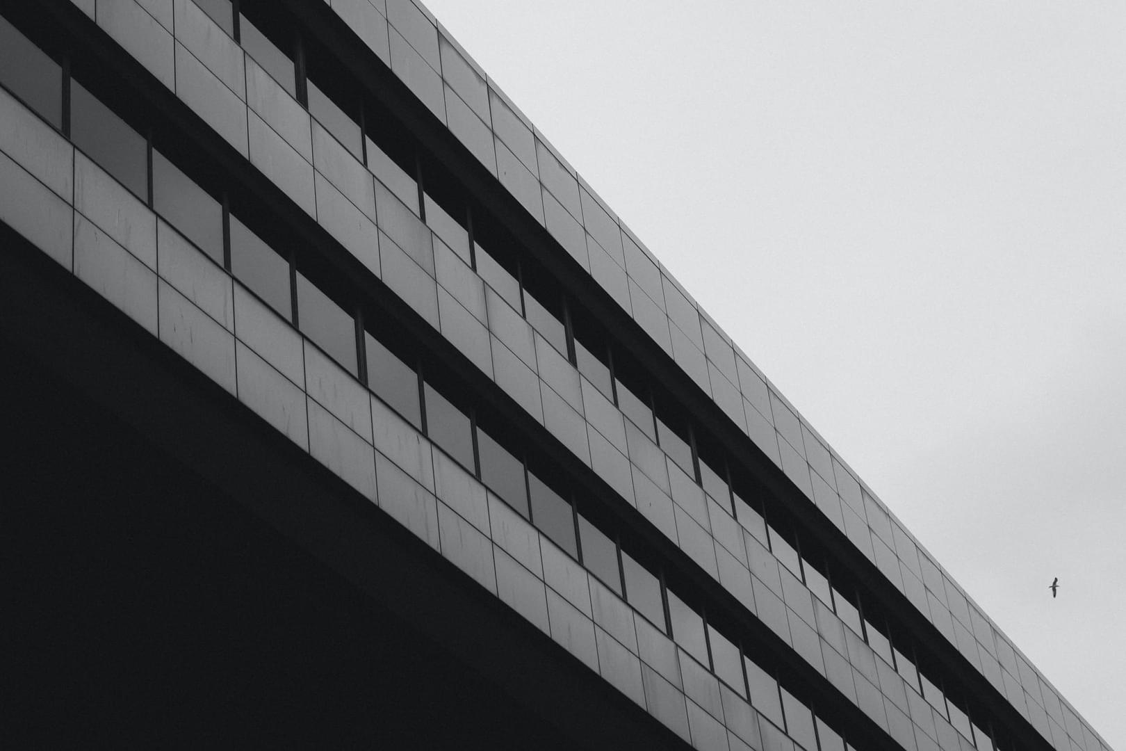 pexels-photo-10003543.jpeg